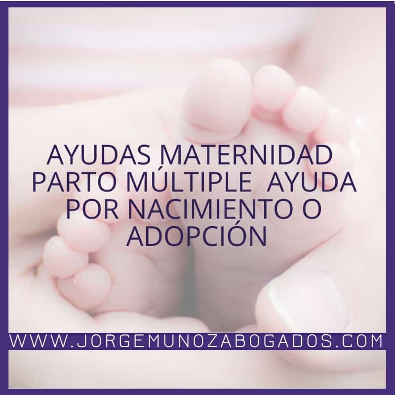 Ayudas Maternidad – Parto Múltiple – Ayuda por Nacimiento o Adopción